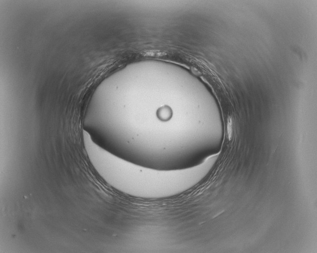 X0000115841444200912041658