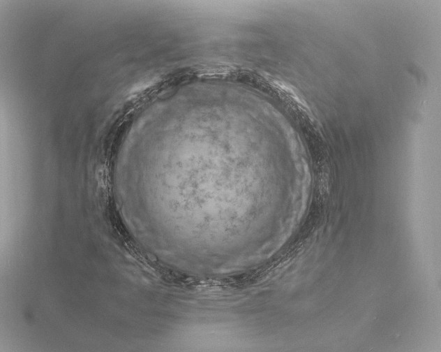 X0000115841445200912041658