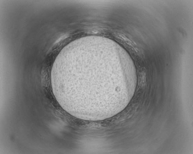 X0000115841446200912041658