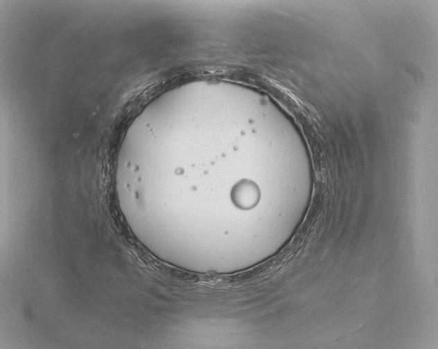 X0000115841447200912041658