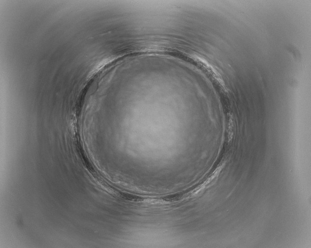 X0000115841449200912041658