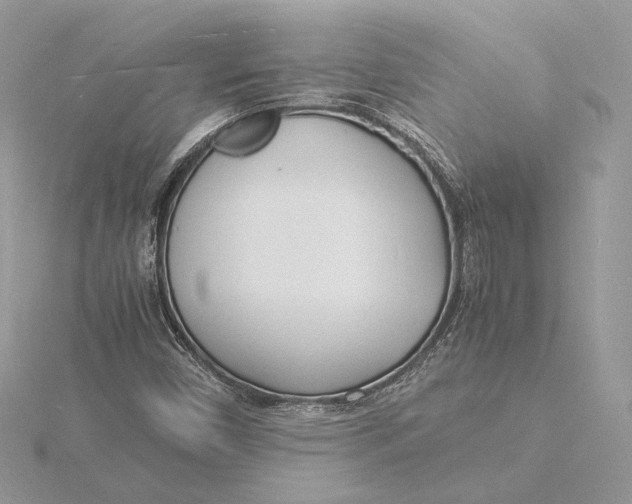 X0000115841450200912041658