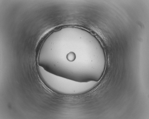 X0000115841452200912041658