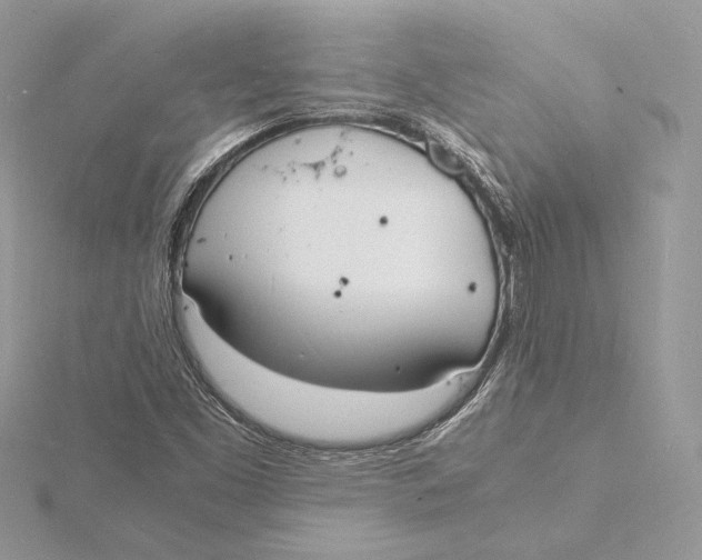 X0000115841453200912041658