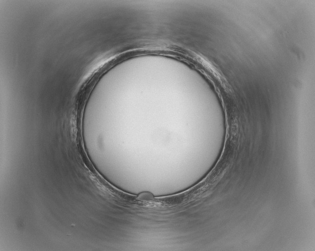 X0000115841456200912041658