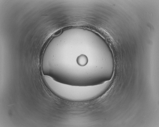 X0000115841457200912041658