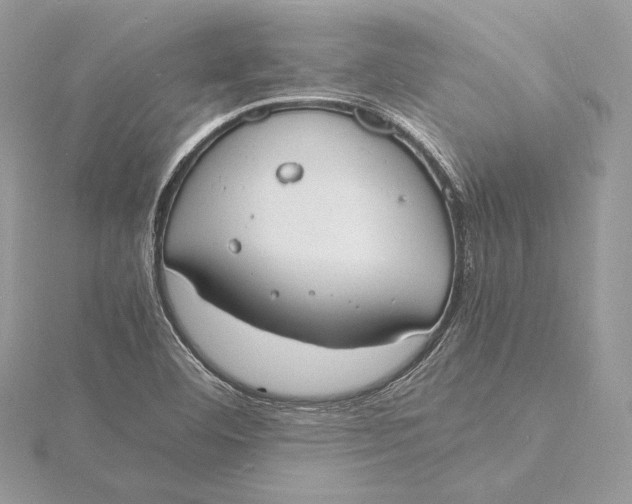 X0000115841460200912041658