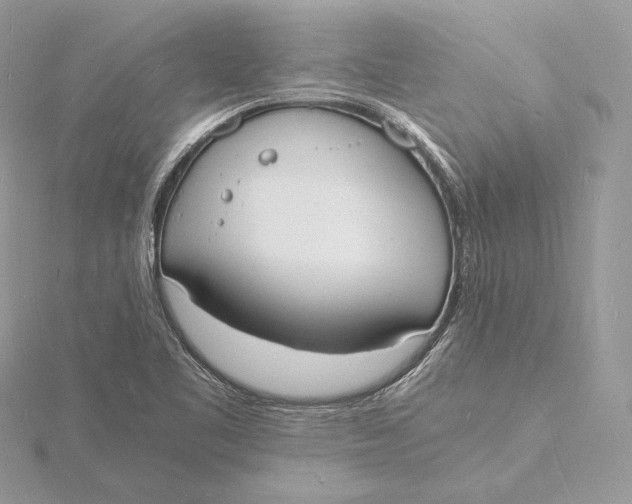 X0000115841461200912041658