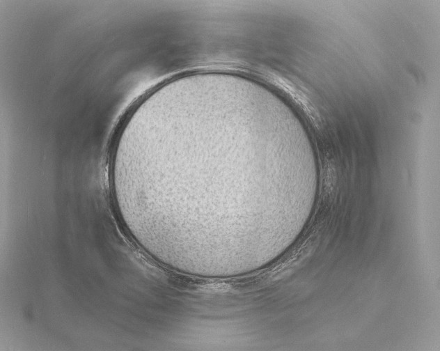 X0000115841462200912041658