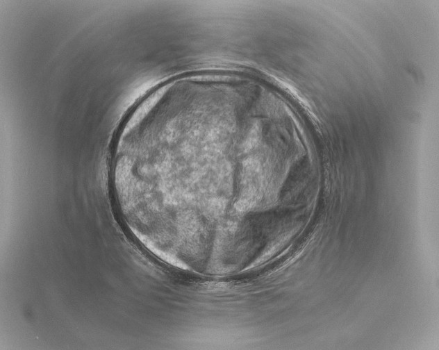 X0000115841463200912041658