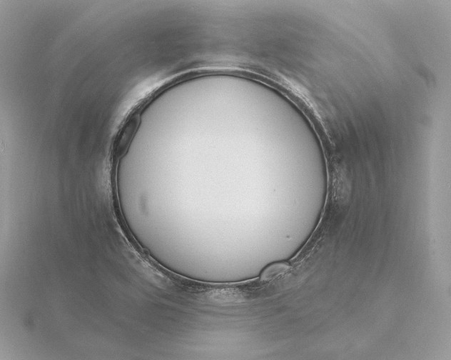 X0000115841464200912041658