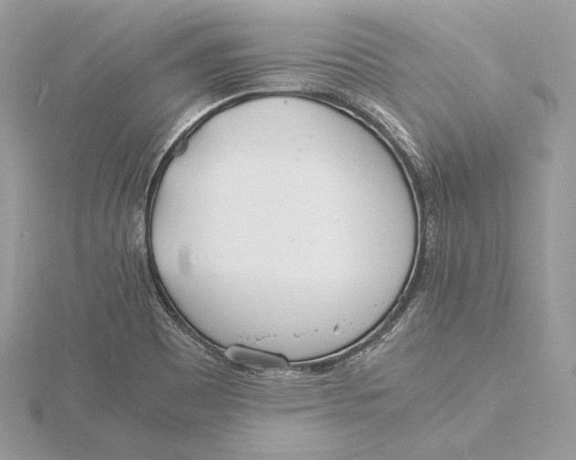 X0000115841465200912041658