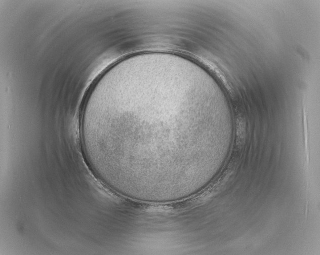 X0000115841466200912041658