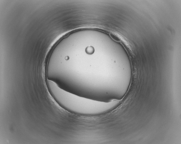 X0000115841468200912041658