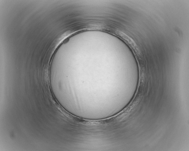 X0000115841473200912041658