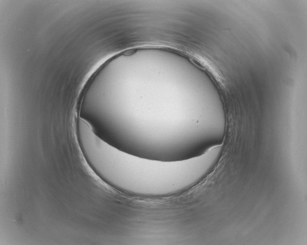 X0000115841476200912041658