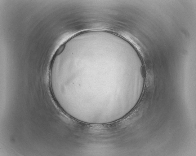 X0000115841477200912041658