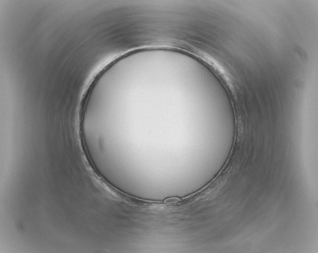 X0000115841480200912041658