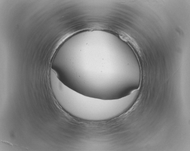 X0000115841481200912041658