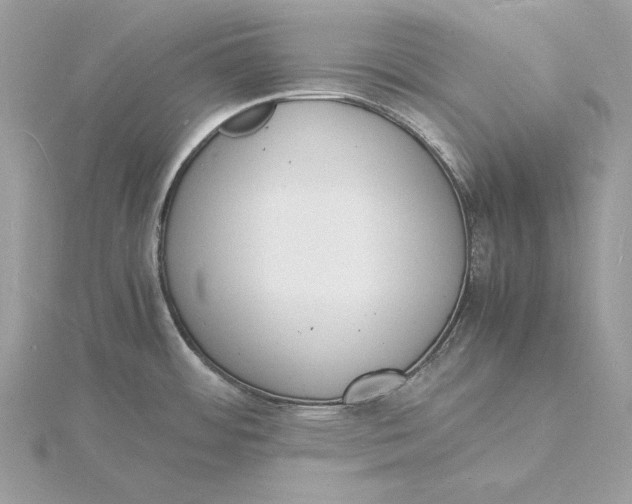 X0000115841484200912041658