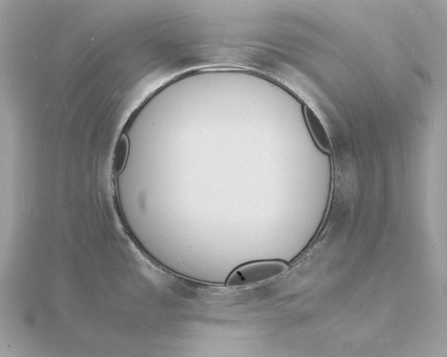 X0000115841485200912041658