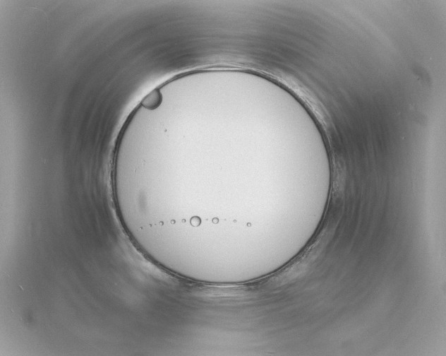 X0000115841486200912041658