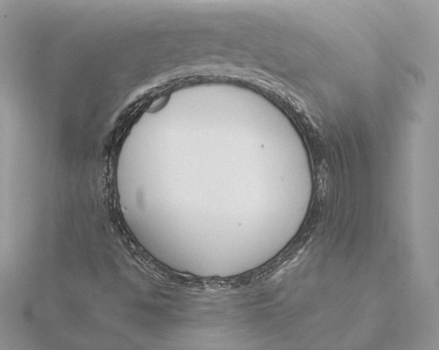 X0000115841494200912041657