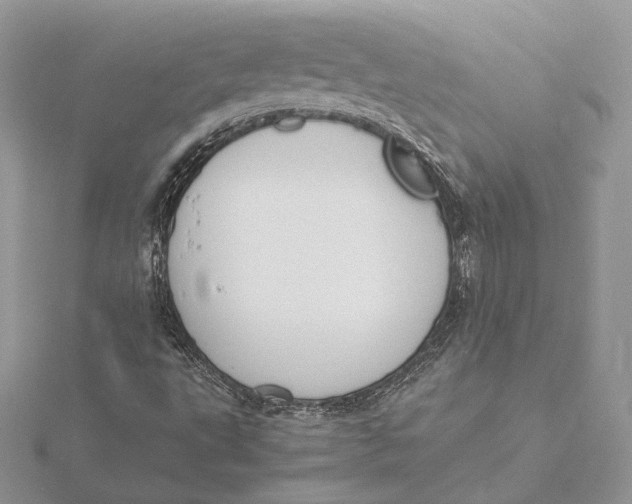 X0000115841495200912041657