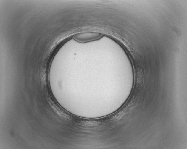 X0000115841499200912041657