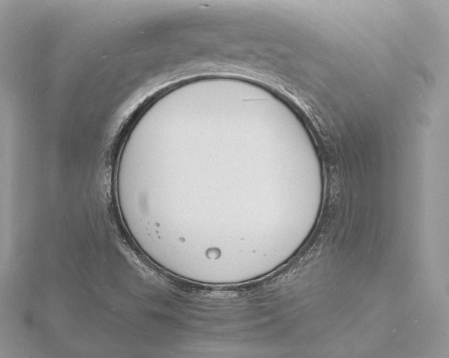 X0000115841503200912041657