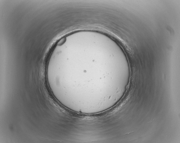 X0000115841506200912041657