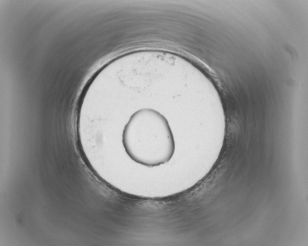 X0000115841514200912041658