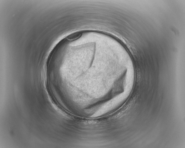 X0000115841515200912041658