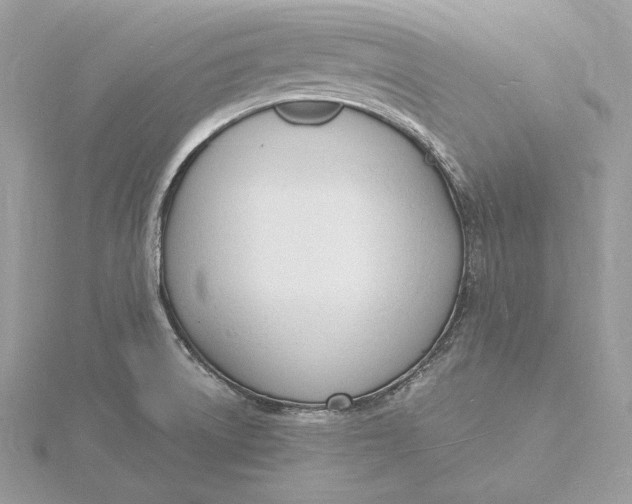 X0000115841522200912041658