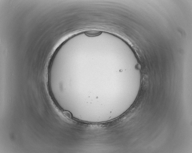 X0000115841523200912041658