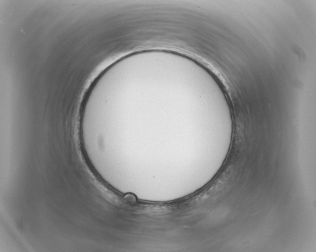 X0000115841525200912041658