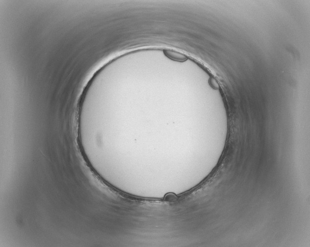 X0000115841526200912041658