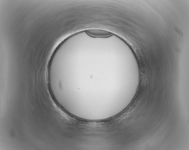 X0000115841527200912041658