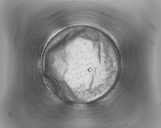 X0000115841529200912041658