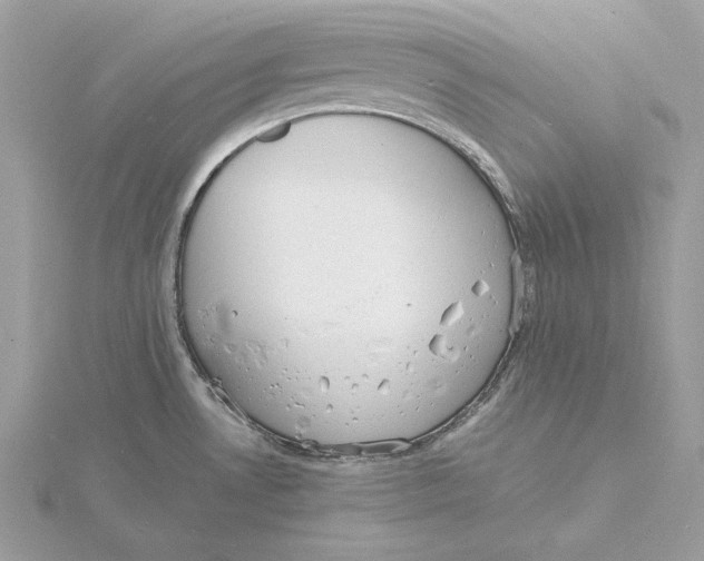 X0000115841530200912041658