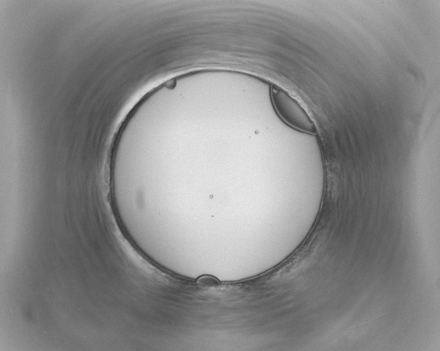 X0000115841531200912041658