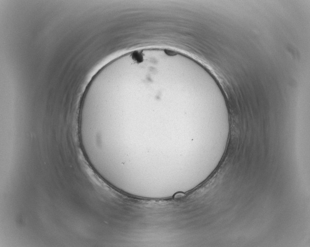 X0000115841534200912041658