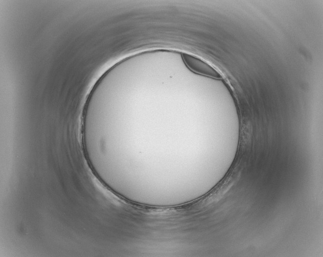 X0000115841535200912041658