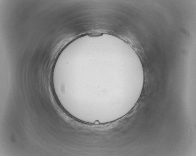 X0000115840001200912111343