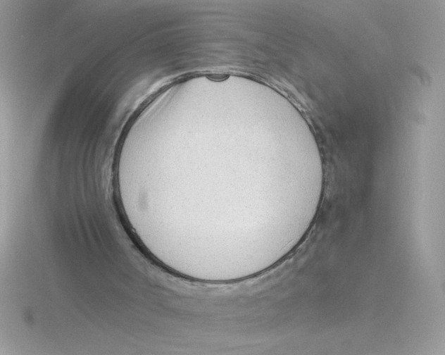 X0000115840002200912111343