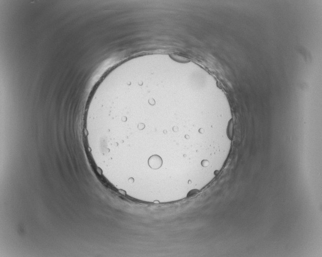 X0000115840003200912111343