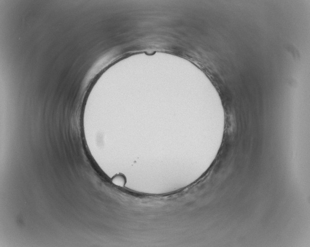 X0000115840004200912111343