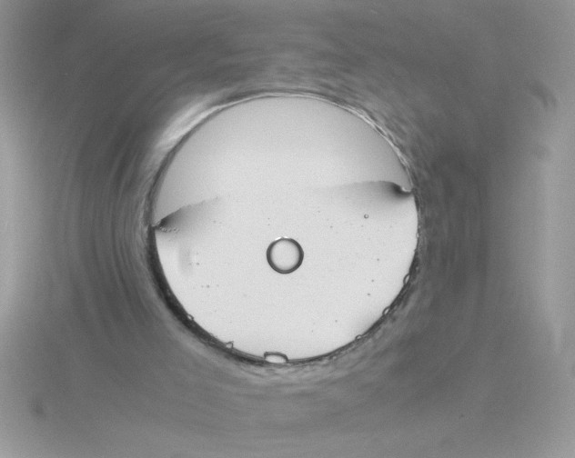 X0000115840005200912111342