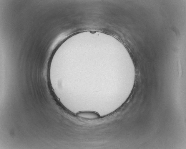 X0000115840006200912111342