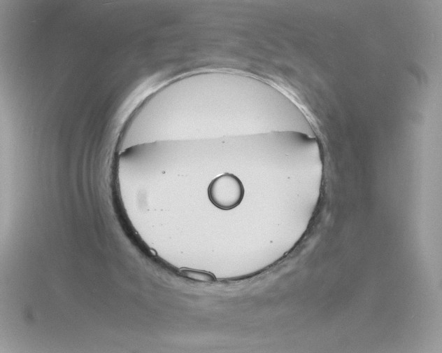 X0000115840007200912111342